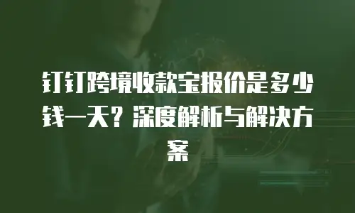 钉钉跨境收款宝报价是多少钱一天？深度解析与解决方案