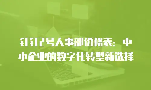 钉钉2号人事部价格表：中小企业的数字化转型新选择