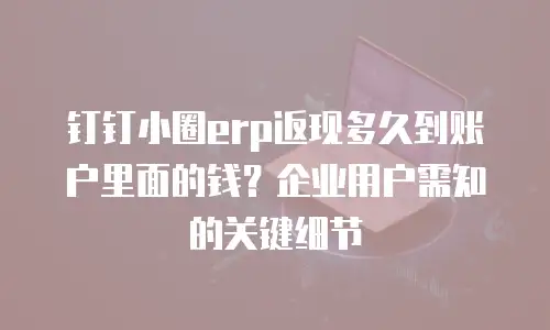 钉钉小圈erp返现多久到账户里面的钱？企业用户需知的关键细节