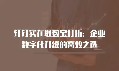 钉钉实在取数宝打折：企业数字化升级的高效之选