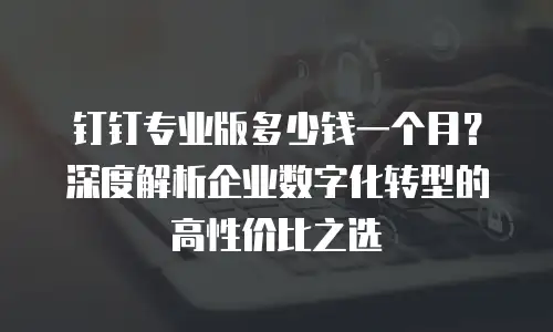 钉钉专业版多少钱一个月？深度解析企业数字化转型的高性价比之选