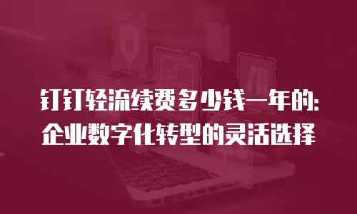 钉钉轻流续费多少钱一年的：企业数字化转型的灵活选择