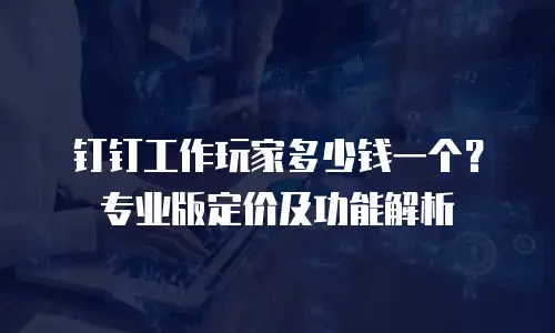 钉钉工作玩家多少钱一个？专业版定价及功能解析