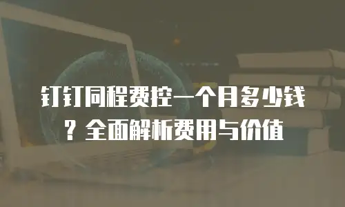 钉钉同程费控一个月多少钱？全面解析费用与价值