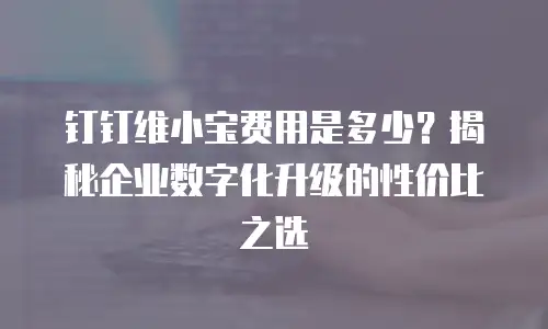钉钉维小宝费用是多少？揭秘企业数字化升级的性价比之选