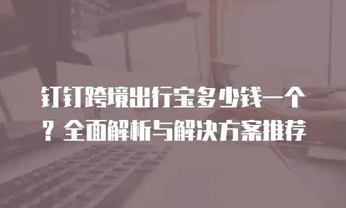 钉钉跨境出行宝多少钱一个？全面解析与解决方案推荐
