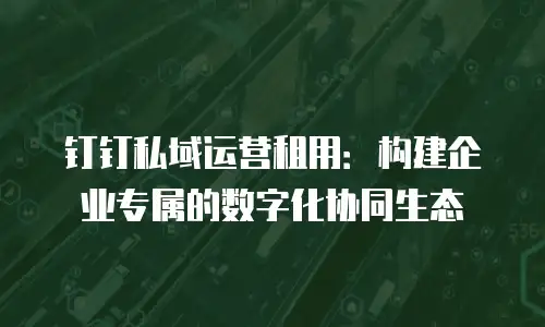 钉钉私域运营租用：构建企业专属的数字化协同生态