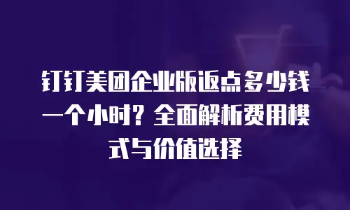 钉钉美团企业版返点多少钱一个小时？全面解析费用模式与价值选择