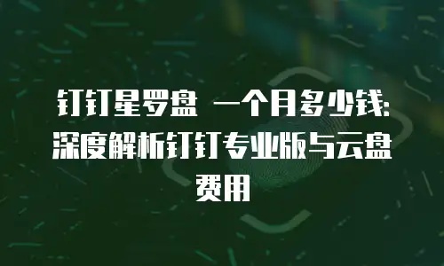 钉钉星罗盘 一个月多少钱：深度解析钉钉专业版与云盘费用