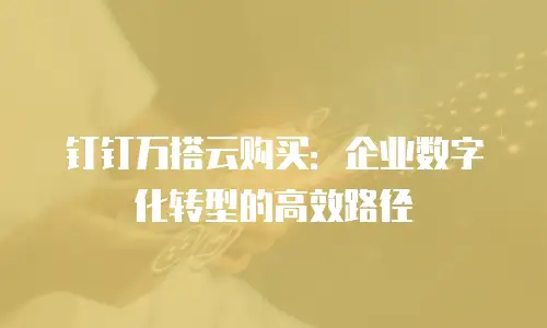 钉钉万搭云购买：企业数字化转型的高效路径