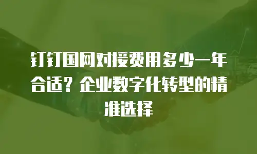 钉钉国网对接费用多少一年合适？企业数字化转型的精准选择