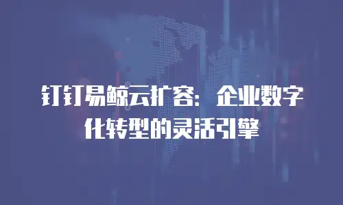 钉钉易鲸云扩容：企业数字化转型的灵活引擎