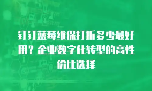 钉钉蓝莓维保打折多少最好用？企业数字化转型的高性价比选择