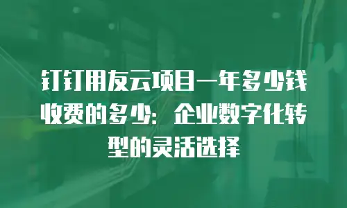 钉钉用友云项目一年多少钱收费的多少：企业数字化转型的灵活选择
