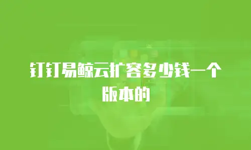 钉钉易鲸云扩容多少钱一个版本的