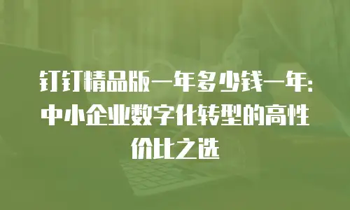 钉钉精品版一年多少钱一年：中小企业数字化转型的高性价比之选
