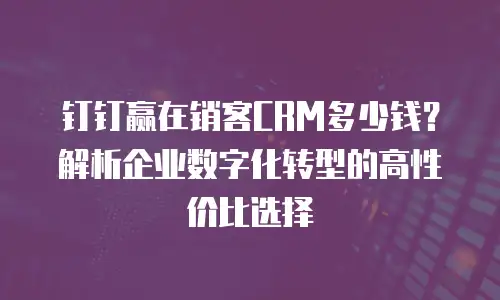 钉钉赢在销客CRM多少钱？解析企业数字化转型的高性价比选择