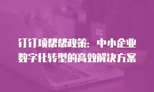 钉钉项帮帮政策：中小企业数字化转型的高效解决方案