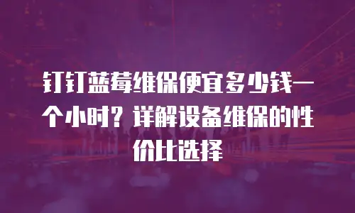 钉钉蓝莓维保便宜多少钱一个小时？详解设备维保的性价比选择