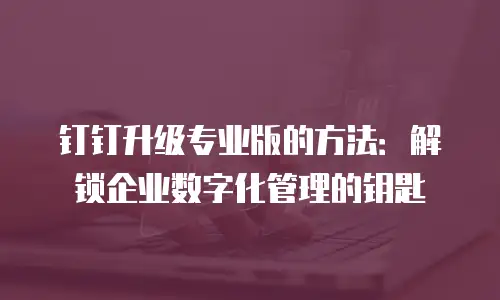 钉钉升级专业版的方法：解锁企业数字化管理的钥匙