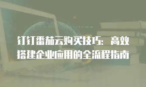 钉钉番茄云购买技巧：高效搭建企业应用的全流程指南