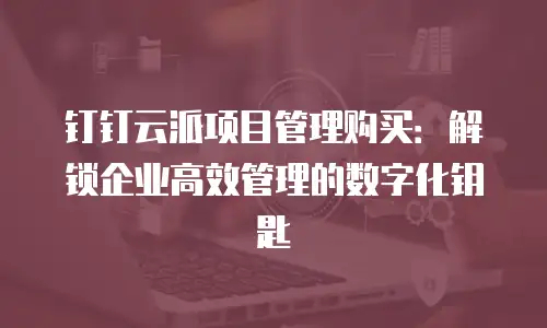 钉钉云派项目管理购买：解锁企业高效管理的数字化钥匙