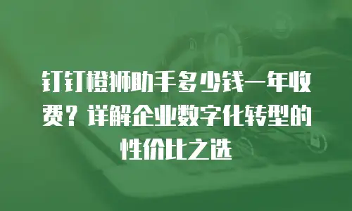 钉钉橙狮助手多少钱一年收费？详解企业数字化转型的性价比之选