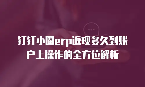 钉钉小圈erp返现多久到账户上操作的全方位解析