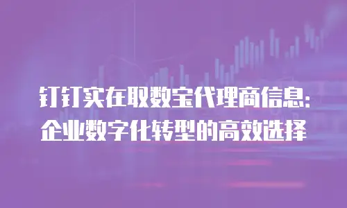 钉钉实在取数宝代理商信息：企业数字化转型的高效选择