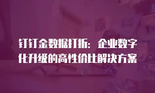 钉钉金数据打折：企业数字化升级的高性价比解决方案