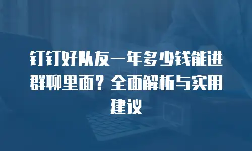 钉钉好队友一年多少钱能进群聊里面？全面解析与实用建议