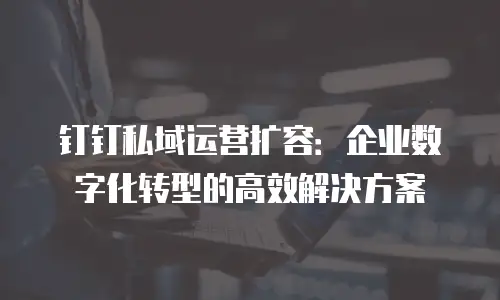 钉钉私域运营扩容：企业数字化转型的高效解决方案
