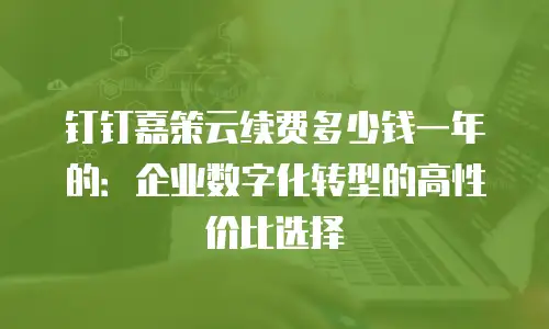 钉钉嘉策云续费多少钱一年的：企业数字化转型的高性价比选择