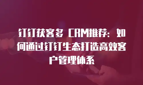 钉钉获客多 CRM推荐：如何通过钉钉生态打造高效客户管理体系