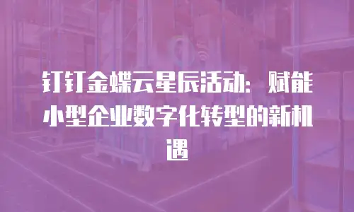钉钉金蝶云星辰活动：赋能小型企业数字化转型的新机遇