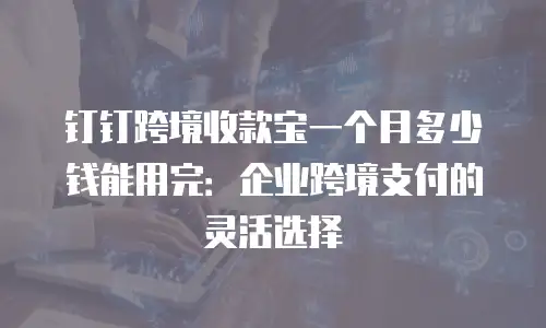钉钉跨境收款宝一个月多少钱能用完：企业跨境支付的灵活选择