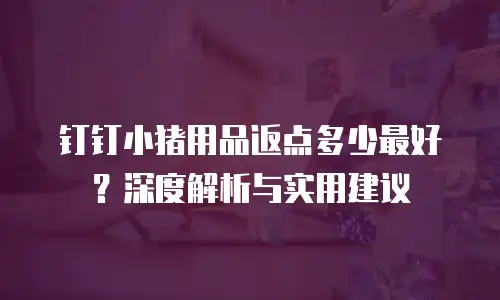 钉钉小猪用品返点多少最好？深度解析与实用建议