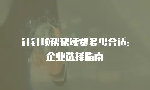 钉钉项帮帮续费多少合适：企业选择指南