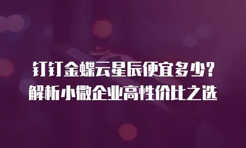 钉钉金蝶云星辰便宜多少？解析小微企业高性价比之选