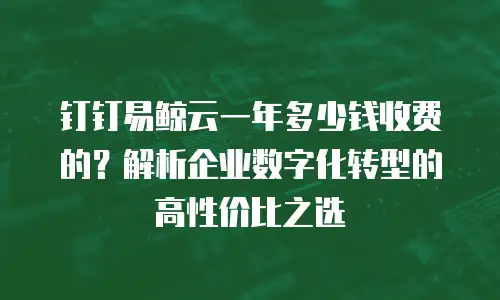 钉钉易鲸云一年多少钱收费的？解析企业数字化转型的高性价比之选