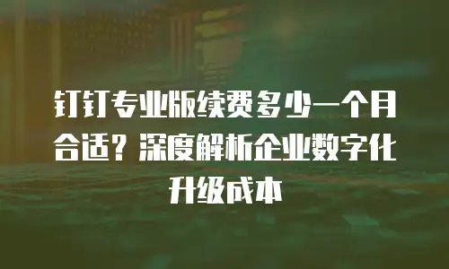 钉钉专业版续费多少一个月合适？深度解析企业数字化升级成本