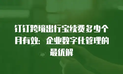 钉钉跨境出行宝续费多少个月有效：企业数字化管理的最优解