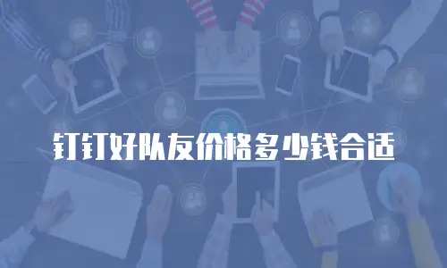 钉钉好队友价格多少钱合适
