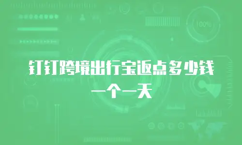 钉钉跨境出行宝返点多少钱一个一天