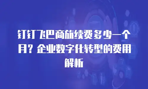 钉钉飞巴商旅续费多少一个月？企业数字化转型的费用解析