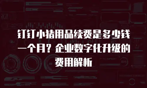 钉钉小猪用品续费是多少钱一个月？企业数字化升级的费用解析