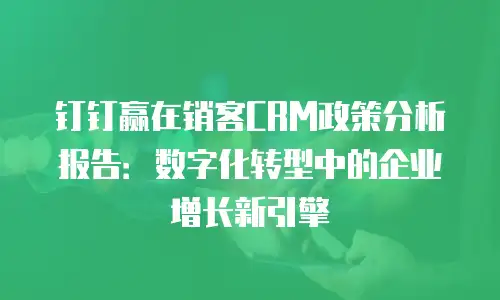 钉钉赢在销客CRM政策分析报告：数字化转型中的企业增长新引擎