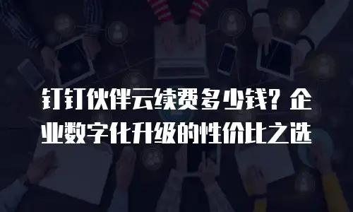 钉钉伙伴云续费多少钱？企业数字化升级的性价比之选