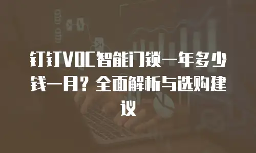 钉钉VOC智能门锁一年多少钱一月？全面解析与选购建议