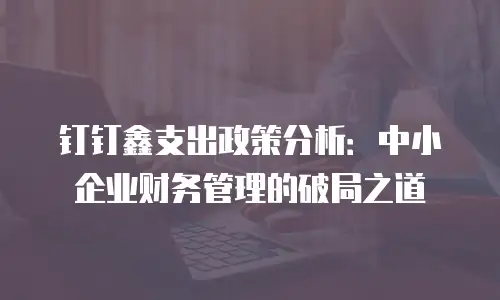 钉钉鑫支出政策分析：中小企业财务管理的破局之道